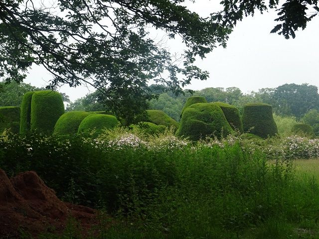 Sermon on the mount garden